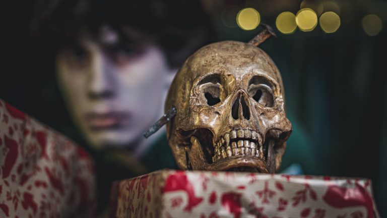 Read more about the article Vampire Skull made of a toy