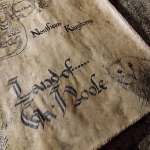 Guardians of Ga’hoole hand drawn map