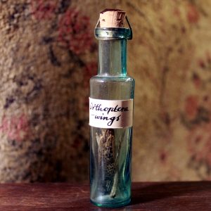 Locust wings in a vintage vial
