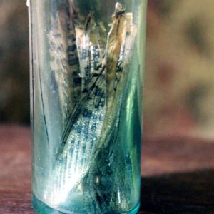 Locust wings in a vintage vial