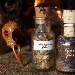 Dried Dandelion in a vintage vial