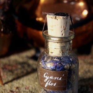 Dried Cornflower in a vintage vial