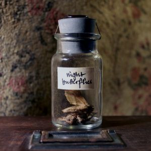 Moths in a vintage vial