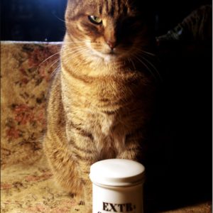 REAL POISON Vintage Hemlock Jar Cicuta Cigue