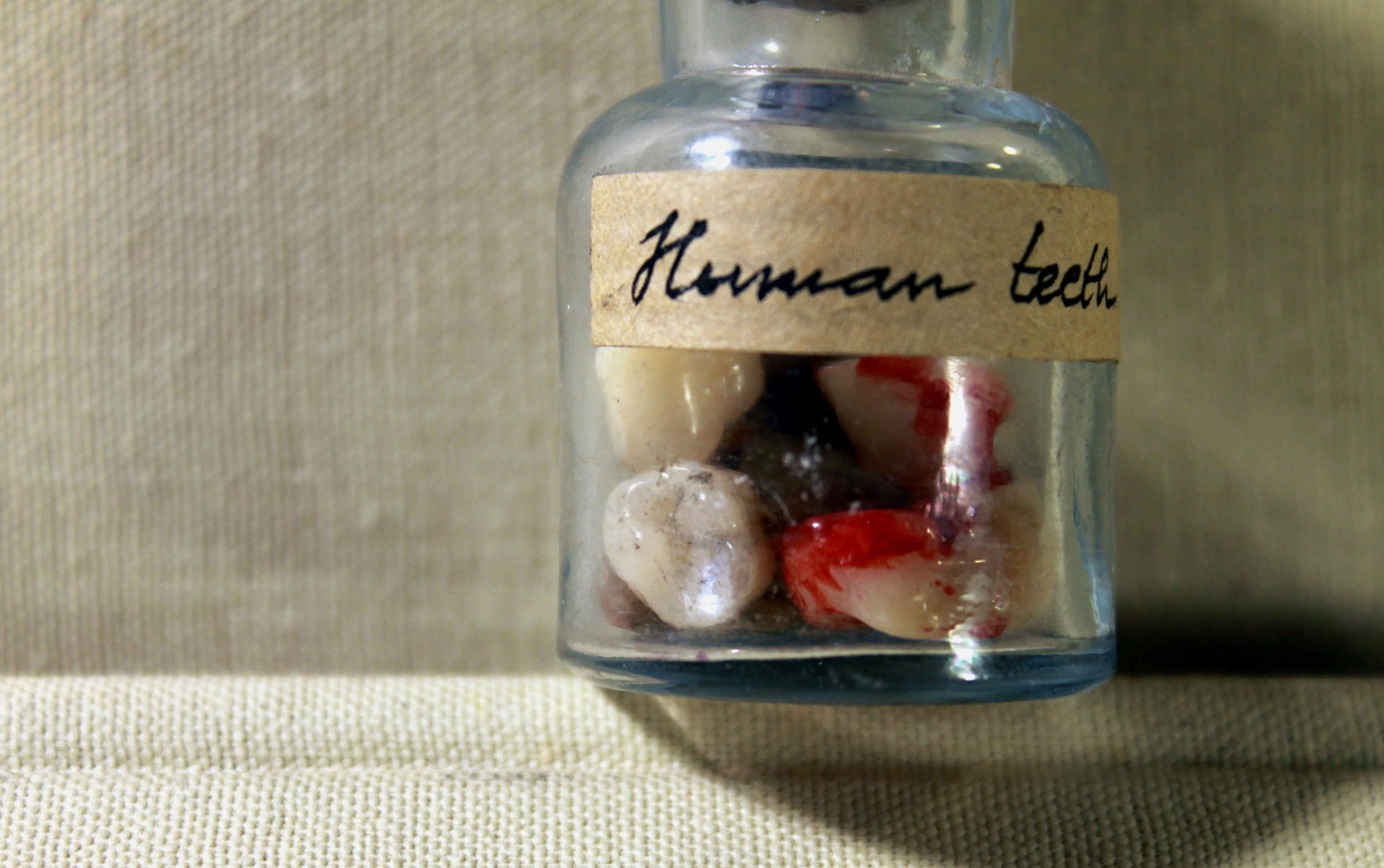 Human teeth -closeup