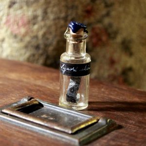 Lizard skin in a vintage vial
