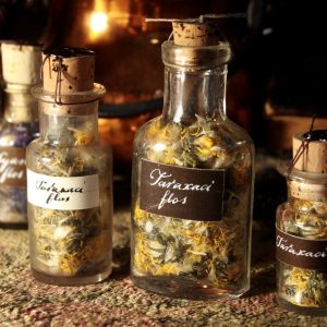 Dried Dandelion in a vintage vial