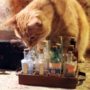 No. 5 Alchemist bottle set