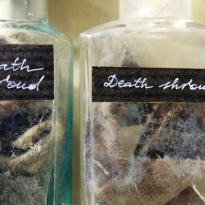 A piece of a Death Shroud in a vintage vial