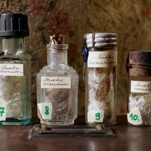 Snake molts in a vintage vial