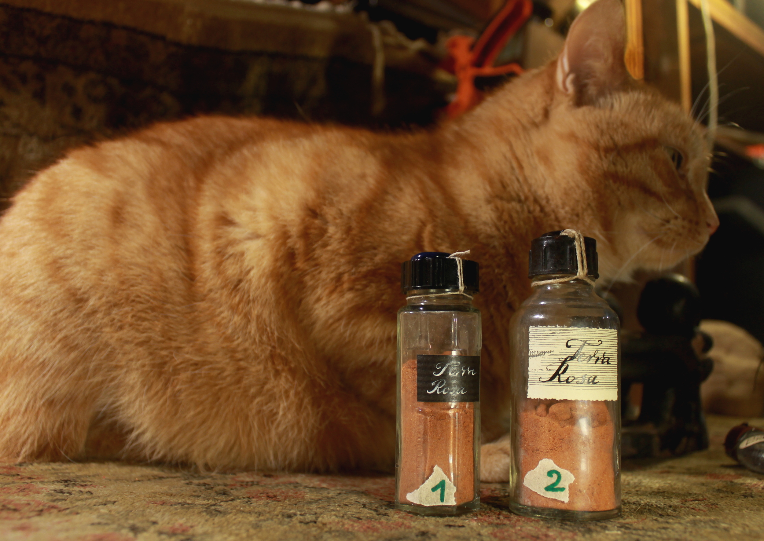 Terra rosa in antique bottles
