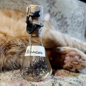 Spiders in a glass vial
